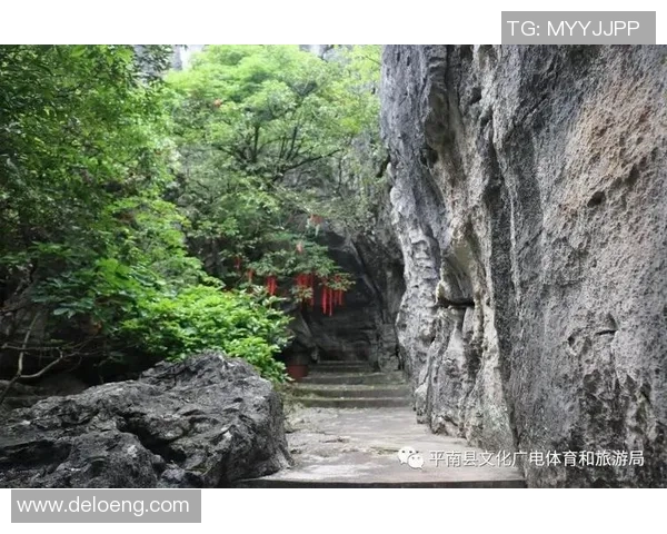 鹿儿岛与阜岐的精彩对决揭示两地文化与体育的独特魅力